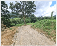  2025Ÿ��30727  �����