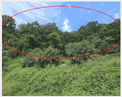  2025Ÿ��30756 ��� ���ֽ� �Ӽ��� ��̸� ��66      ����(�Ӿ�)���