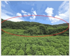  2025Ÿ��30756 ��� ���ֽ� �Ӽ��� ��̸� ��66      ����(�Ӿ�)���