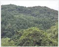  2025Ÿ��30756 ��� ���ֽ� �Ӽ��� ��̸� ��66      ����(�Ӿ�)���