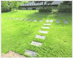  2025Ÿ��30761  �����