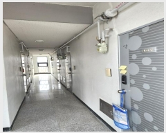  2025Ÿ��156  �ٰ������ð��