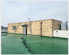  2025Ÿ��156  �ٰ������ð��