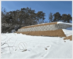  2025Ÿ��262 ��� ������ ������ ������ 120-3      ����(��1)���