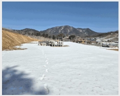  2025Ÿ��262 ��� ������ ������ ������ 120-3      ����(��1)���