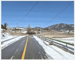  2025Ÿ��262 ��� ������ ������ ������ 120-3      ����(��1)���