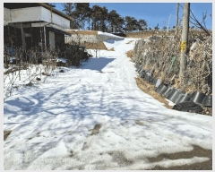  2025Ÿ��262 ��� ������ ������ ������ 120-3      ����(��1)���