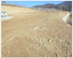  2025Ÿ��262 ��� ������ ������ ������ 120-3      ����(��1)���