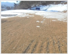  2025Ÿ��262 ��� ������ ������ ������ 120-3      ����(��1)���