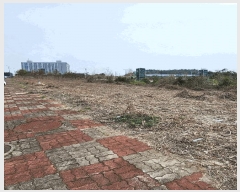  2025Ÿ��729  �������