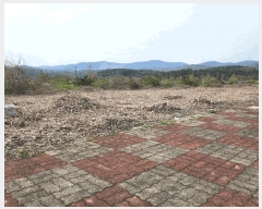  2025Ÿ��729  �������