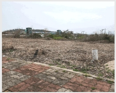  2025Ÿ��729  �������