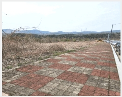  2025Ÿ��729  �������