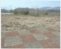  2025Ÿ��729  �������