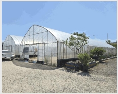  2025Ÿ��880  â�����