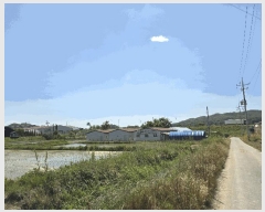  2025Ÿ��880  â�����