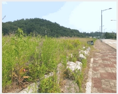  2025Ÿ��1029  �������