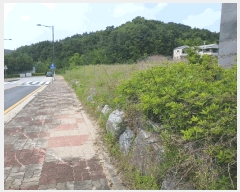  2025Ÿ��1029  �������