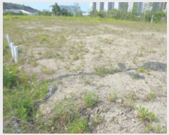  2025Ÿ��1029  �������