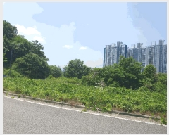  2025Ÿ��1173  �������