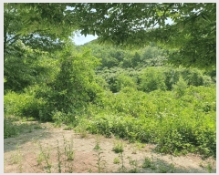  2025Ÿ��1173  �������