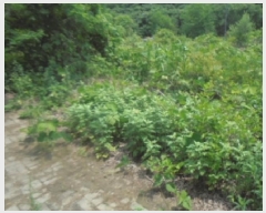  2025Ÿ��1173  �������