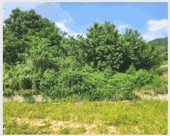  2025Ÿ��1319 ��� ���ֽ� ������ ���� 302-2      ����(��1)���