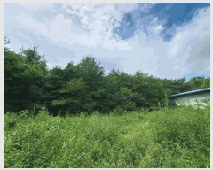  2025Ÿ��1531 ��� ���ֽ� �߾�ž�� â���� 385-1      ����(��1)���