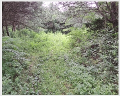  2025Ÿ��1531 ��� ���ֽ� �߾�ž�� â���� 385-1      ����(��1)���