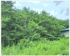  2025Ÿ��1531 ��� ���ֽ� �߾�ž�� â���� 385-1      ����(��1)���