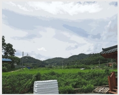  2025Ÿ��1531 ��� ���ֽ� �߾�ž�� â���� 385-1      ����(��1)���