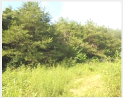  2025Ÿ��1531 ��� ���ֽ� �߾�ž�� â���� 385-1      ����(��1)���