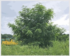  2025Ÿ��1579 ��� ������ �ݿ��� ���۸� 322-3      ����(��)���