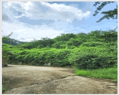  2025Ÿ��1821  �����