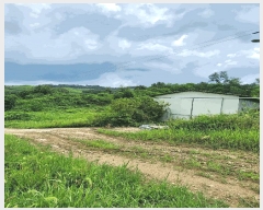  2025Ÿ��1821  �����