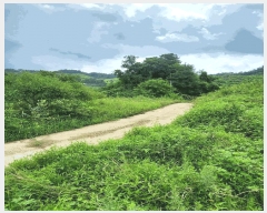  2025Ÿ��1821  �����