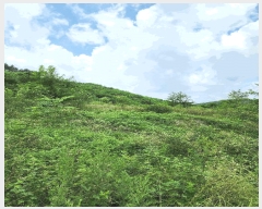  2025Ÿ��1821  �����