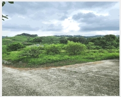  2025Ÿ��1821  �����