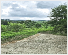  2025Ÿ��1821  �����