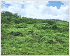  2025Ÿ��1821  �����