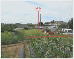  2025Ÿ��2077 ��� ���ֽ� ������ �뱳�� 362      ����(����)���