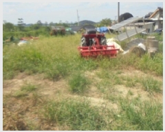  2025Ÿ��2077 ��� ���ֽ� ������ �뱳�� 362      ����(����)���