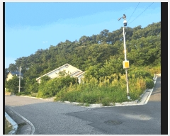  2025Ÿ��2114  ���ð��