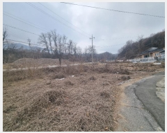  2025Ÿ��30171 ��� ���ֽ� �Ŵϸ� ��ȭ�� 172-2      ��õ���