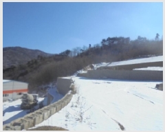  2025Ÿ30263  ֽ ҿ ݰ 33      (Ӿ)