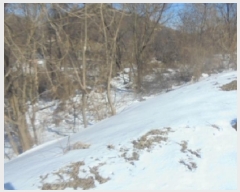  2025Ÿ30263  ֽ ҿ ݰ 33      (Ӿ)