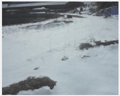  2025Ÿ30263  ֽ ҿ ݰ 33      (Ӿ)