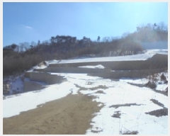  2025Ÿ30263  ֽ ҿ ݰ 33      (Ӿ)