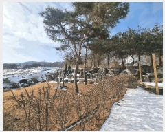  2025Ÿ��30324 ��� ���ֽ� �Ӽ��� ���׸� 1-3      ���ð��