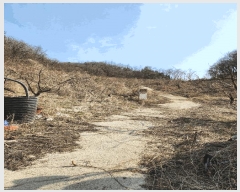  2025Ÿ��30379  �������